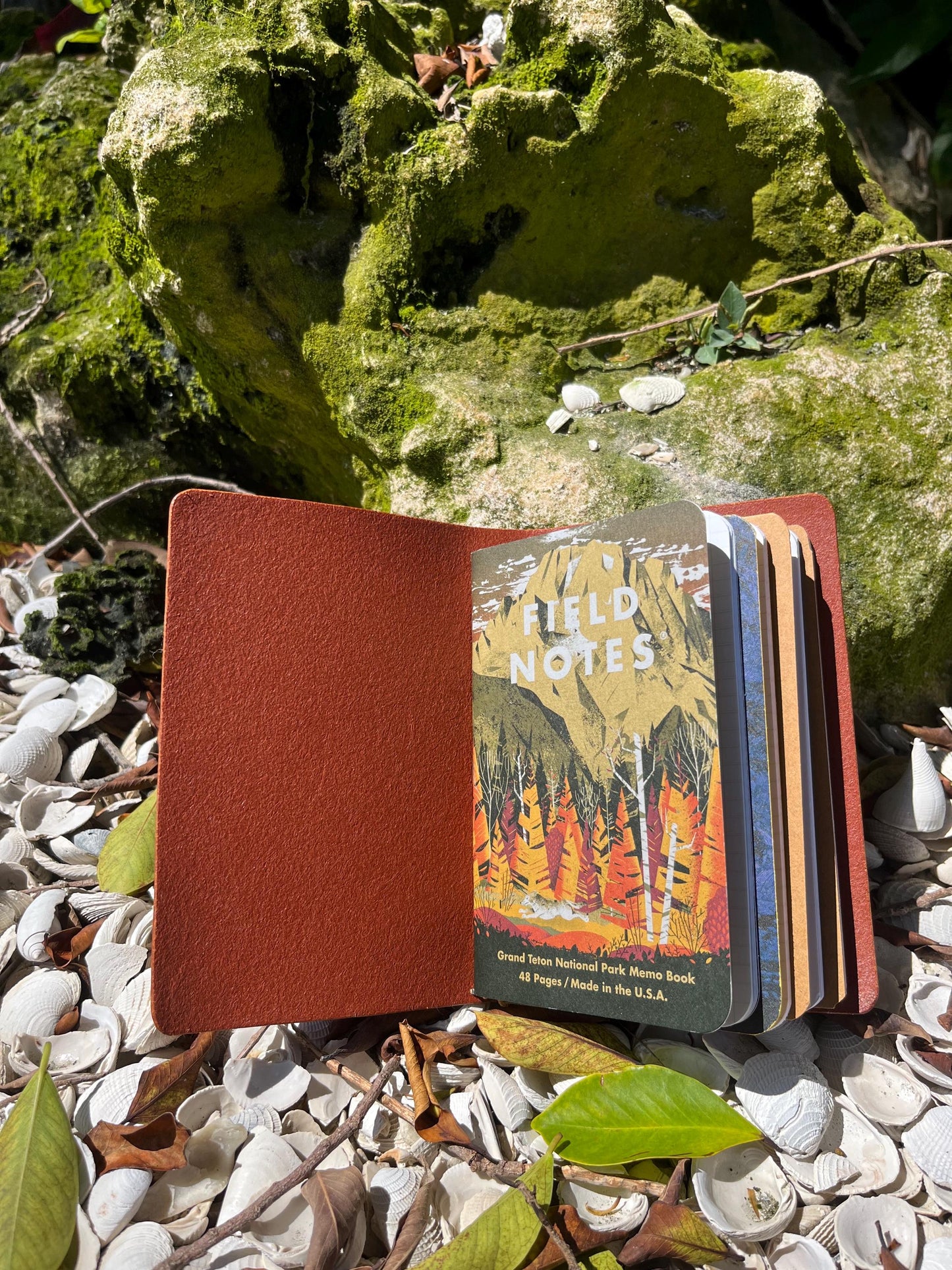 Notebook Cover, Passport Sized, Refillable Travelers, Four inserts, Handmade, Vegetable Tanned Leather
